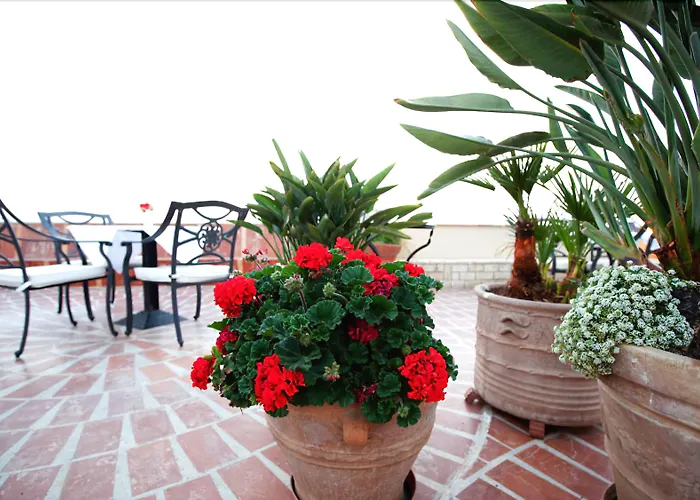 מלון דירות Pandora